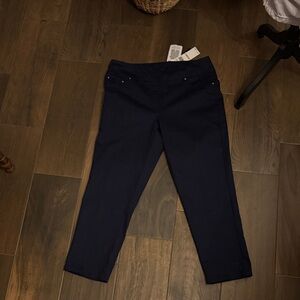 Ruby Rd. Dark Blue Ankle Pants